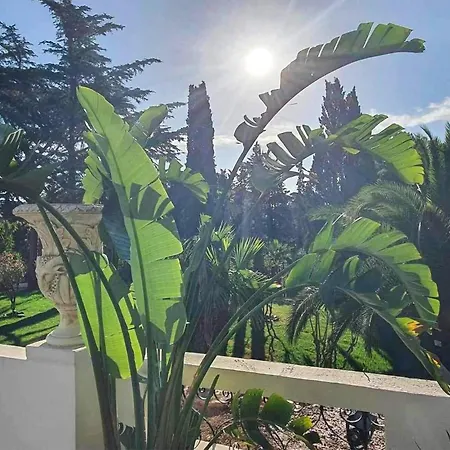 Apartamento Stunning In Saint-raphael With Wifi *
